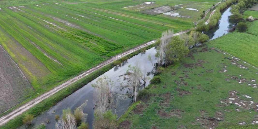 Tablo değil burası Konya: Baharla birlikte leyleklerin durağı yeşile büründü 4